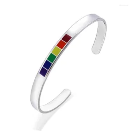 Bangle Eye-catching Rainbow Love Pride Bracelet 6mm Stainless Steel Enamel Opening LGBTQ Cuff For Women Men