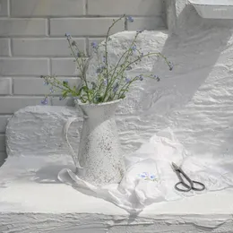 Вазы Декоративная ваза Сельский дом Металл с ручкой Сад Украшение Бутылка с водой Цветок