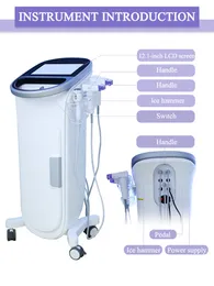 전문 피부 회춘 최신 Vivace RF Microneedling Fractional Microneedle RF Machine