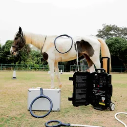 Uso clínico veterinário 6000 gauss pemf terapia magnética dispositivo de tratamento de cavalo oscilação profunda alívio da dor pmst loop para cavalo