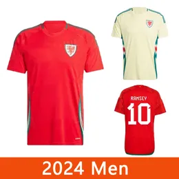 2024ニューウェールズサッカージャージ2024/2025ホームアンドアウェイジャージーラムジージョンソンウィルソンジェームスデイビスプレーヤーバージョン