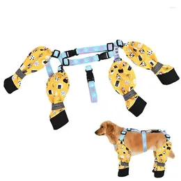 Stivali protettivi per abbigliamento per cani Stivaletti regolabili Leggings per stivali con cintura ausiliaria per grandi e piccoli