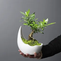 Rinoceronte chifre forma cerâmica vaso de flores verde planta pote suculento plantador cactus bonsai pote flor recipiente decoração para casa 240311