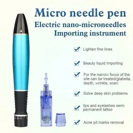 Taibo Anti-Falten-Hautpflege/Microneedle Fractional Golden Needle/Plasma Fibroblast Pen