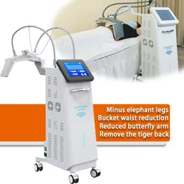 RF 2450 MHz Fat Melting and fat Removal Machine Anti-Inflammation and Blood Spasm pain relief device