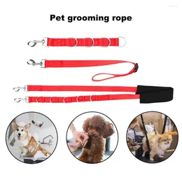 Dog Apparel Pet Grooming Tool Kit With Adjustable Extension Strap Multi-functional Rope Leash For Bathing Pets