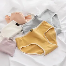 Women's Panties CIFbuy Intimates Morandi Colour Women Cotton Underwear Seluar Dalam Wanita