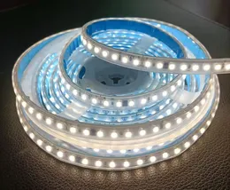 AC110V 220V SMD LED -striplampor utomhus vattentätt 100m per rullar 120LEDS flexibelt blått baksida tejpljus