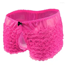 Underpants Sexy Lace Underwear See Though Panties Gay Penis Sheath Transparent Mesh Erotic Lingerie Sheer Boxershorts Men