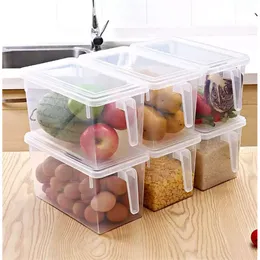 Fasulye pp kutu taneleri mutfak şeffaf içerir kapalı ev organizatör gıda konteyneri buzdolabı saklama kutuları