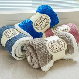Одеяла однотонные двухъярусные зимние утолщенные плюшевые одеяла фланелевые имитация овечьей шерсти теплые мягкие для размера кровати пледы