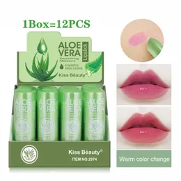 1224PCS Bulk Wholesale Lips Comestics Set Aloe Vera Lip Balm Sexy Lipstick Argan Oil Plumping Moisturizing Batom 240313