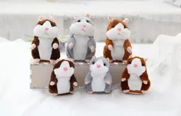 2017 Test Fire Talking Hamster Talk Sound 레코드 반복 박제 봉제 동물 어린이 어린이 Toy6401585