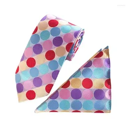 Bow Ties Corbatas Con Panuelo Para Hombre Casual Business Blue Pink Red DotsTies For Men Accessoire Costume Homme Necktie Boda