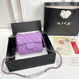 Designer Handbag Shoulder Chain cc Bag Clutch Flap Totes Bags Wallet Check Velour Thread Purse Double Letters Solid Hasp Waist Square Stripes Women Handbags 01