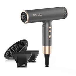 Mr Big Hair Dryer Italian Style Professional Ionic Anti Frizz with Intelligent Temperature Sensor, Lightweight at 12oz, Self-cleaning Brushless Motor, T-shaped,