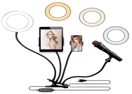 Outros eletrônicos Wyn 6quot 4 em 1 Desktop Clip Light Set Modos de escurecimento9749982