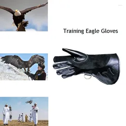 Andra fågelförsörjningar Anti Bite Anti-Scratch Training Eagle Gloves 40cm läder som griper fingerfritt arbete