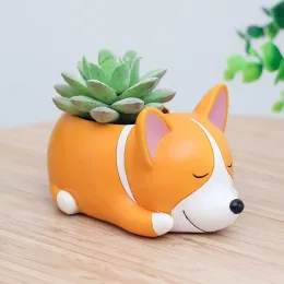 Planters Creative Flower Pot Cartoon Dog Planter Puppy Harts Planters Pots For Flowers Flower Desktop Macetas Home Garden Nursery Pots