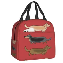 Kawaii Dachshund Dogs Isolated Lunch Tote Bag For Women Wiener Sausage Dog Portable Cooler Thermal Bento Box Work School Travel 240313