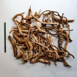 Creative Micro-landscape Rattan Driftwood Tree Root DIY Aquarium Fish Tank Decoration Accessories 240401