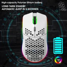 Myszy HXSJ T66 2.4G Bezprzewodowe mysie Lekkie konstrukcje komórkowe RGB Glow 6 Button Mouse