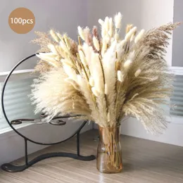 Bröllopsarrangemang Boho Home Decor Bouquet Natural Dried Pampa Grass Phragmites Reed Flowers Christmull Decoration 240308