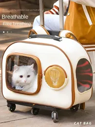 Portadores de gatos Pet Trolley Box Bag Saindo Portátil Mala Mochila Produtos de Viagem