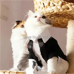 Cats smoking roupas formais de cachorro animais de casamento terno de casamento xs-xl 240322