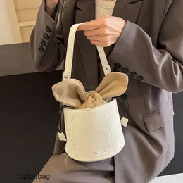 Designer Luxury Fashion Cross Body Bagstrendy New Bucket Bag Instagram Korean Fashionabla och fashionabla One Shoulder Crossbody Handheld Womens Bag