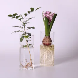 Decorations Clear Glass Hyacinth Vase Transparent Flower Plant Bottle Pot DIY Ornaments Home Living Room Garden Decoration Desk Decors 15cm