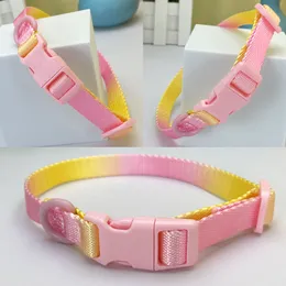 Fashion Puppy Collar Polyester webbing Dog Collar Color Contrast Dogs Collars for Medium Breed Dogs Large Dogs