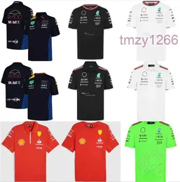 2024 2025 Formel 1 F1 Racing sätter Mercedeser AMG Petronas Fernando Alonso Set Up T-shirt Casual Breattable Polo Summer Car Motorsport Ferari Team Jersey Shirts