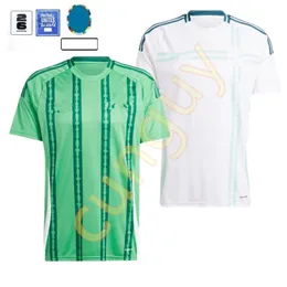 2024 New Northern Ireland MAGENNIS THOMPSON MCNAIR Euro Cup Soccer Jerseys fens 24 25 Ireland HOME Away EVANS LEWIS Saville Ballard MAN KIDS kits football shirt