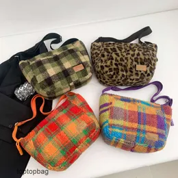 Designer Borse da sera di moda di lusso 2024 Borsa da donna nuova Borsa in peluche alla moda e minimalista Borsa a tracolla con tracolla a spalla di grande capacità