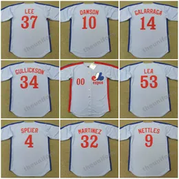 Montreal da uomo degli anni 1981-1988 ANDRE DAWSON ANDRES GALARRAGA CHARLIE LEA CHRIS SPEIER DENNIS MARTINEZ GARY CARTER GRAIG NETTLES Maglia da baseball ritorno al passato S-5XL