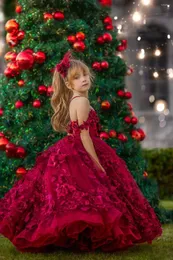 女の子のドレスバーガンディのアプリケー結婚式のためのショルダーフラワードレス豪華なアップリケクリスマスバースデーパーティー
