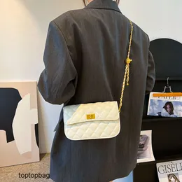 Designer Pessi di spalla di lusso di lusso Design di nicchia francese Small Square Sagre 2023 Borsa a catena alla moda e alla moda