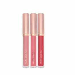 3 pz/kit Lipgloss Private Label Lip Kit Set di trucco Lg Lasting Matte Liquid Lipstick personalizzato d9AL #