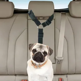Collari per cani Cintura di sicurezza per auto Cintura di sicurezza regolabile con clip Guinzaglio per veicolo Cintura esterna universale per cani