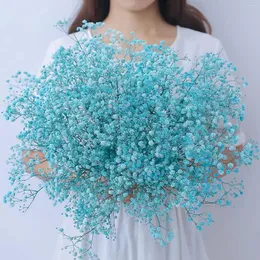 Fiori decorativi Oltre 2000 bouquet blu di alito di bambino essiccati, perfetti per decorazioni per la casa, matrimoni, progetti floreali fai-da-te, Natale