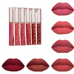 Liquid Sexy Veet Matte Gloss Lip Red Lipstick Makeup Lipstick Set Nude Women Lg Lasting Водонепроницаемая косметика для красоты Наборы косметических наборов 32Qz #