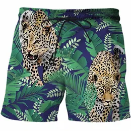 plażowa krótka dżungla zwierzęta swobodne męskie ubrania dresowe 3D Druku