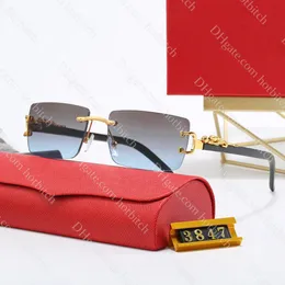 Designer som kör solglasögon för män högkvalitativa HD -linser solglasögon lyxiga utomhuspolariserade solglasögon Leopard Head Mens Brand Sun Glasses