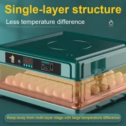 Tillbehör med vattentemperatur Automatisk låda ägginkubator och vattenbädd mini -ägg Joniska påfyllningskontro 9/15