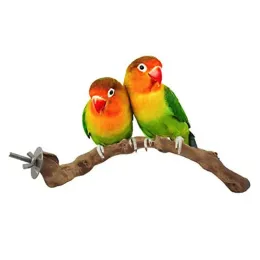 Perches Pet Parrot Bird Standing Stick Wild Grape Wood Pole Bird Cockatiel Parakeet Perches Bite Claw Grinding Toy Bird Cage Accessories