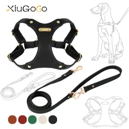 Sets Waterproof Soft Leather Dog Chest Harness Easy Wearing Engraved AntiLost Logo Customized Pet Leash Set for Small to Medium Dogs