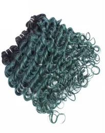 Fasci di capelli umani Ombre Onda profonda Verde bicolore colorato Trama di capelli ricci profondi Tessuto di capelli vergini brasiliani6150764