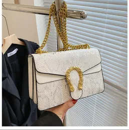 Avancerad och fashionabla kedjepåse, retro underarmsäck, kvinnors trendiga ormmönster axelväska, mångsidig crossbody väska för kvinnor