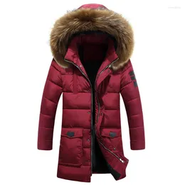 Men's Down Winter Jacket Men 2024 Thick Cotton Padded Man Coat Mid Long Slim Hood Faux Raccoon Fur Collar Plus Size 3XL HJ546